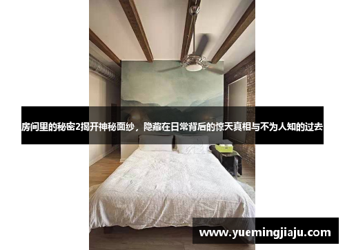房间里的秘密2揭开神秘面纱，隐藏在日常背后的惊天真相与不为人知的过去